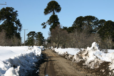 031  Near Icalma_A little further along we had to turn around as the road was impassable.jpg